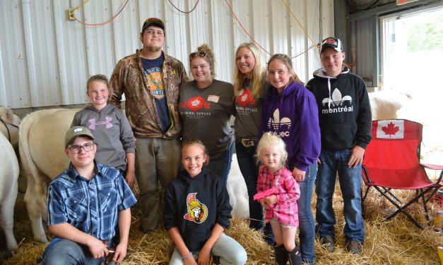 4-H Stock Show in Metcalfe