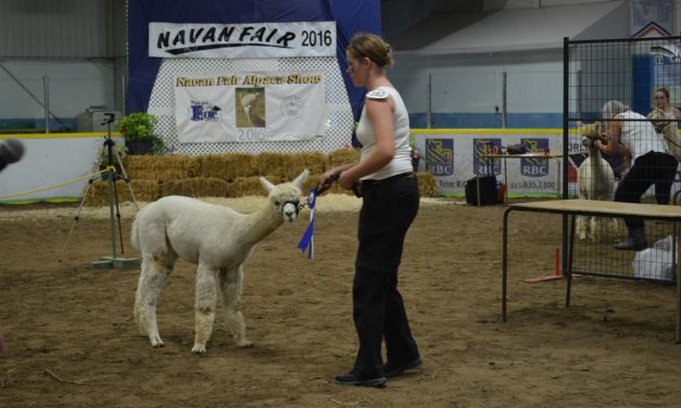 Navan celebrating 72nd fair this weekend