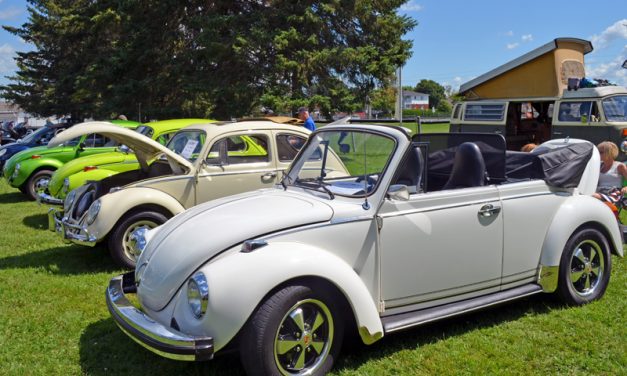 Volksfest organizers scramble to meet Township insurance needs