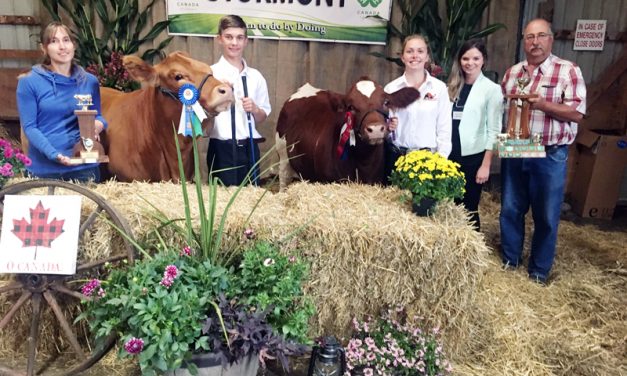 Stormont County Fair celebrating 150 years