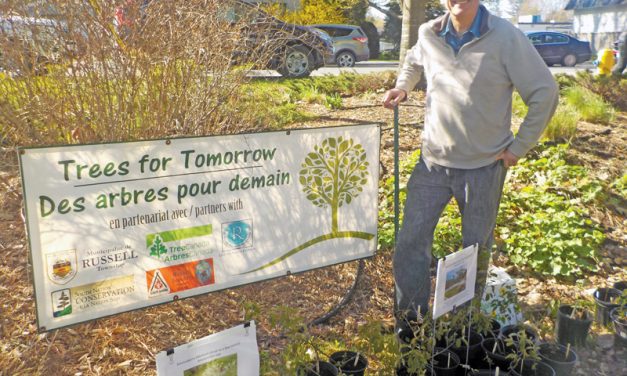 Shrubs, flowers, hot commodities at annual plant sale