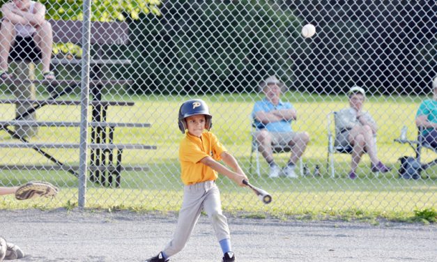 Minor Pioneers ride high heading to playoffs