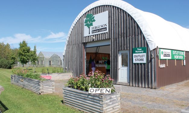 Ferguson Tree Nursery outlet store opens