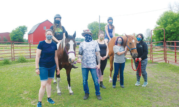 Horses and people go well together