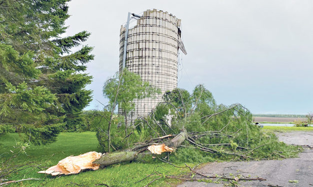 Record breaking storm leaves chaos in its path