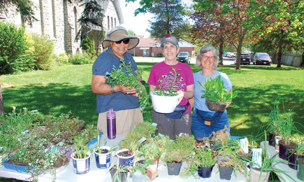 Helping out gardens all over Winchester