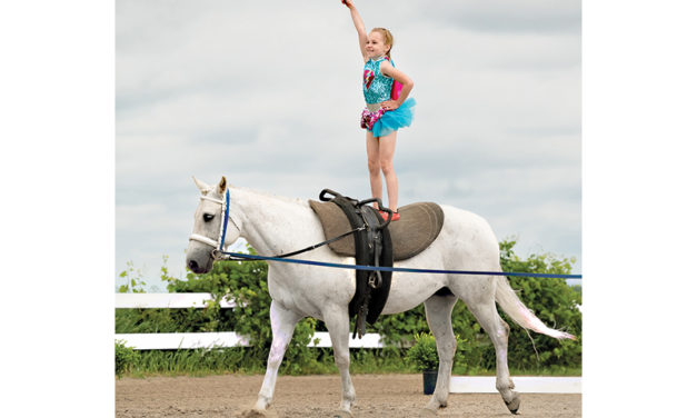 Equestrian vaulting in Chesterville