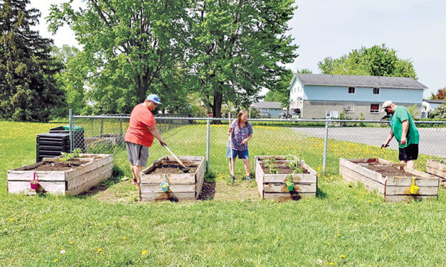 Planting for others