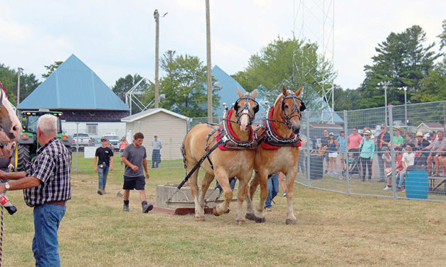 Fair weekend in Navan