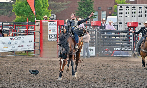 Holding on for an eight second ride