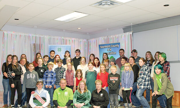 Stormont County 4-H awards