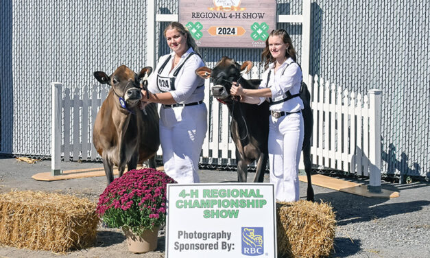 Metcalfe Fair combines heritage, entertainment, and a whole bunch of comfort food